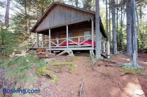 Lakefront cabin with private dock & beach access - Image 1
