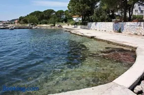 Apartments with parking space Barbat, Rab - 16723 - Image 2
