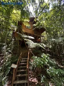 Casa na Árvore - Image 1