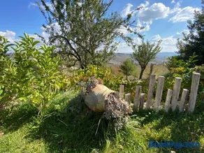 Casa Aloe nel cuore della sicilia - Image 4