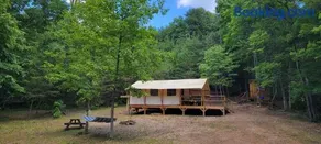 Charming enclave Luxury tent in the woods Tent 3 Bambi's playground - Image 3