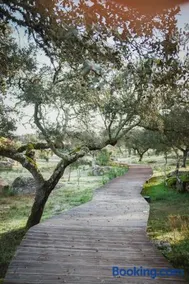 Monte da Bela Raposa - Image 2