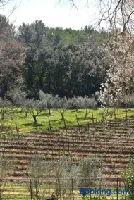 L'Atelier Appartement au cœur du vignoble - Image 4
