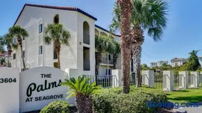 Palms C8 - Image 2