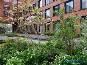 Studio-apartment in city-center - Image 2