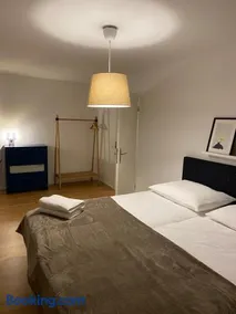 3 BR Duplex in Wiedikon - Image 3