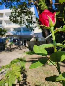 park-hotel Rusalka - Image 5