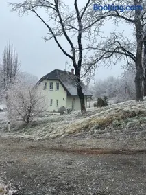 Veselka - Image 3