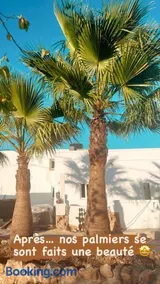 La Quinta da Liberdade - Ferme de charme en Algarve - Image 2