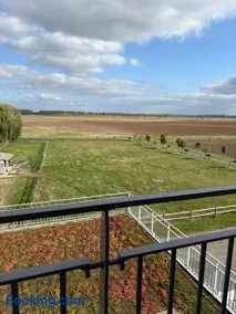 Housing De Brouwerij - Image 3