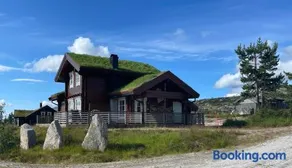 Vrådal Panorama - Image 2