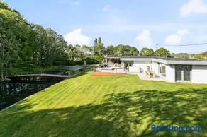 René - Image 4