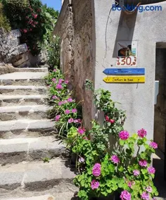 Eden tra i limoni - Image 2