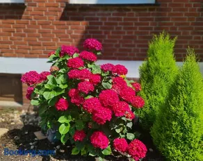 Ferienwohnung "Erika" Rees am Niederrhein - Image 4