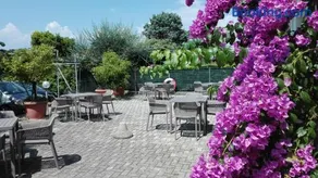 Appartamenti Calicante - Image 3
