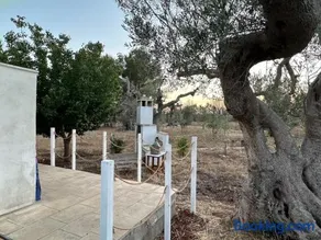 La Petraia - Image 3