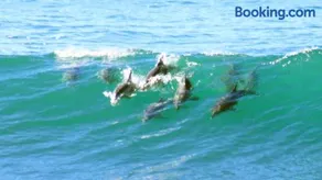 Mollymook Beach Waterfront - Image 4