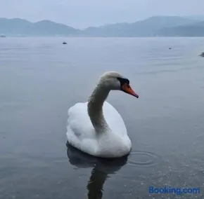Smeštaj Zeka Tekija - Image 3