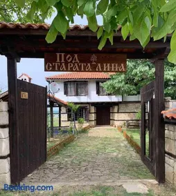 Под старата липа - Image 1