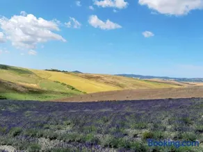 Agriturismo Mandriato Organic Farm in the Tuscan Hills - Image 1
