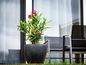 Panorama Luxury House - Image 4
