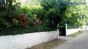 El Pinar de la Puebla de Sanabria - Image 1
