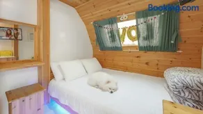 Goseong Jjun Camping Pension - Image 3