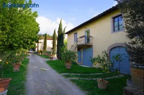 Ginestra - Image 2