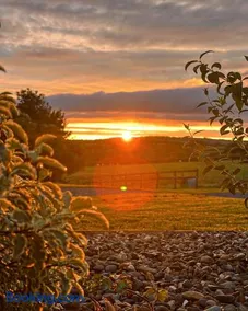 Parcglas - Hazel - Image 4