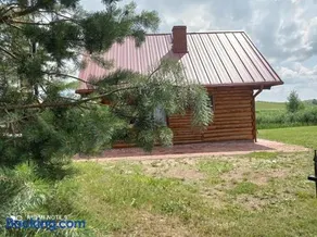 Nad żabim stawem - Image 1