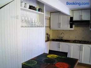 Loft kiwi - Image 4