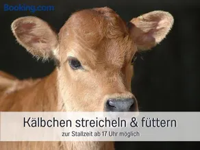 Ferienhof Eger - entspannter Urlaub mit Baby & Kleinkind - wahlweise top modern oder günstige Fewos - ruhig am Ende der Straße - Kälbchen füttern - Traktor fahren - Freie Fahrt mit den Hörnerbahnen in Sommersaison - E-Ladestation - E-bike Verleih ab Hof - Image 3