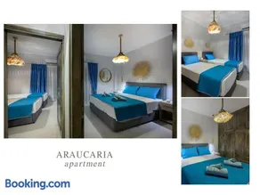 Araucaria Queen - Image 2