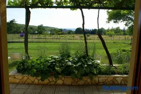 HOUSE VEZO - Image 4