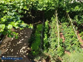 Apartman Snježana - Image 3