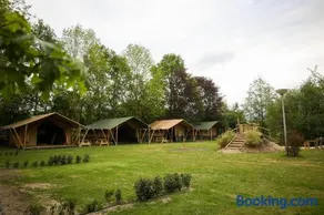 Minicamping Het Zuiderscheveld - Image 3