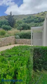 Villa Aias- Private Olive Grove Retreat - Image 1