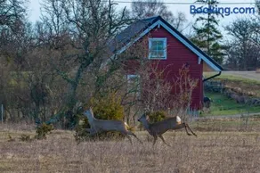 Anne's Cottage - Image 5