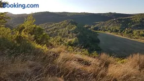 Un petit nid dans la garrigue - Image 1