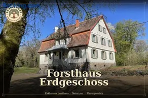 Schellnhof Forsthaus am Waldrand - Image 1