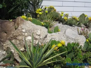 Bed & Breakfast - Image 5