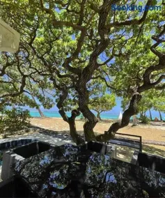 Villa No2 - Sun Tan Palmar - Image 3