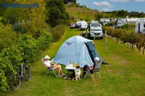 Saxida Wine & Camping Resort - Campsite - Image 3