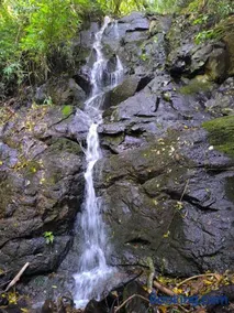 Próximo ao Centro Budista e Gramado - Image 2