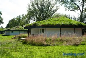 Buzzard's Nest Glamping Oak - Image 4