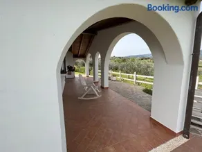 La casa nell'oliveto - Image 2