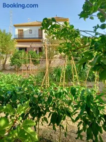 tuGuest Hortichuela House - Image 2