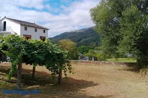 Casa Calvo - Image 5