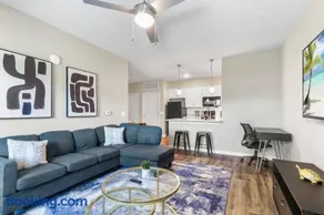 Luxe 1BR/1BA: Dive, Rest, Explore. Book Now! - Image 1