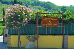 Agriturismo San Martino - Image 2